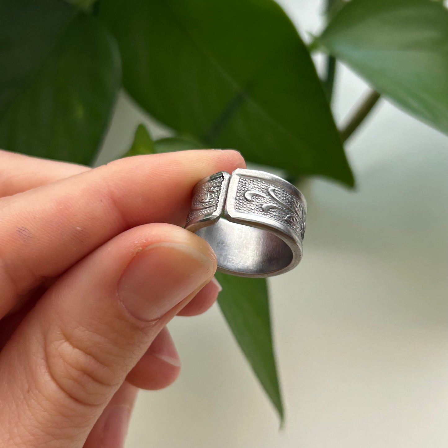 Light Rose Band